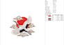 do embroidery digitize designe make any file emb dst and etc